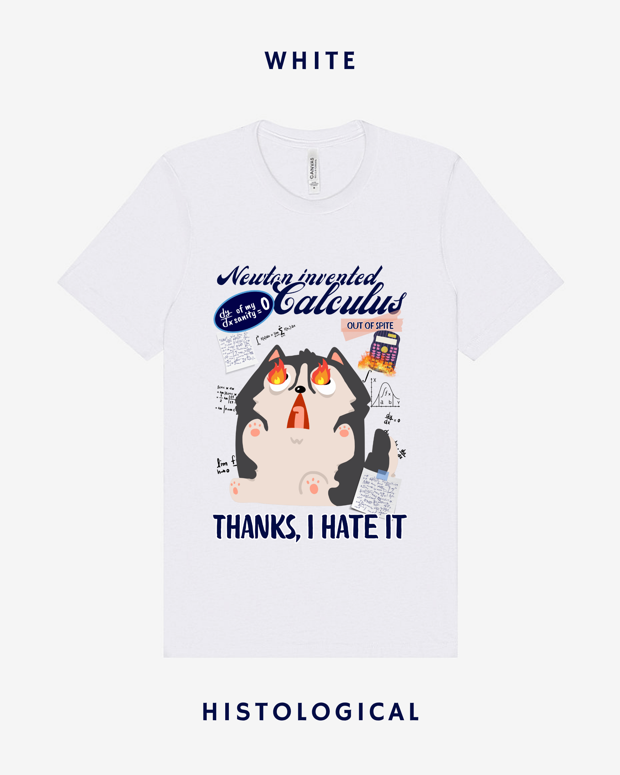 Newton Invented Calculus Out Of Spite Unisex T-shirt