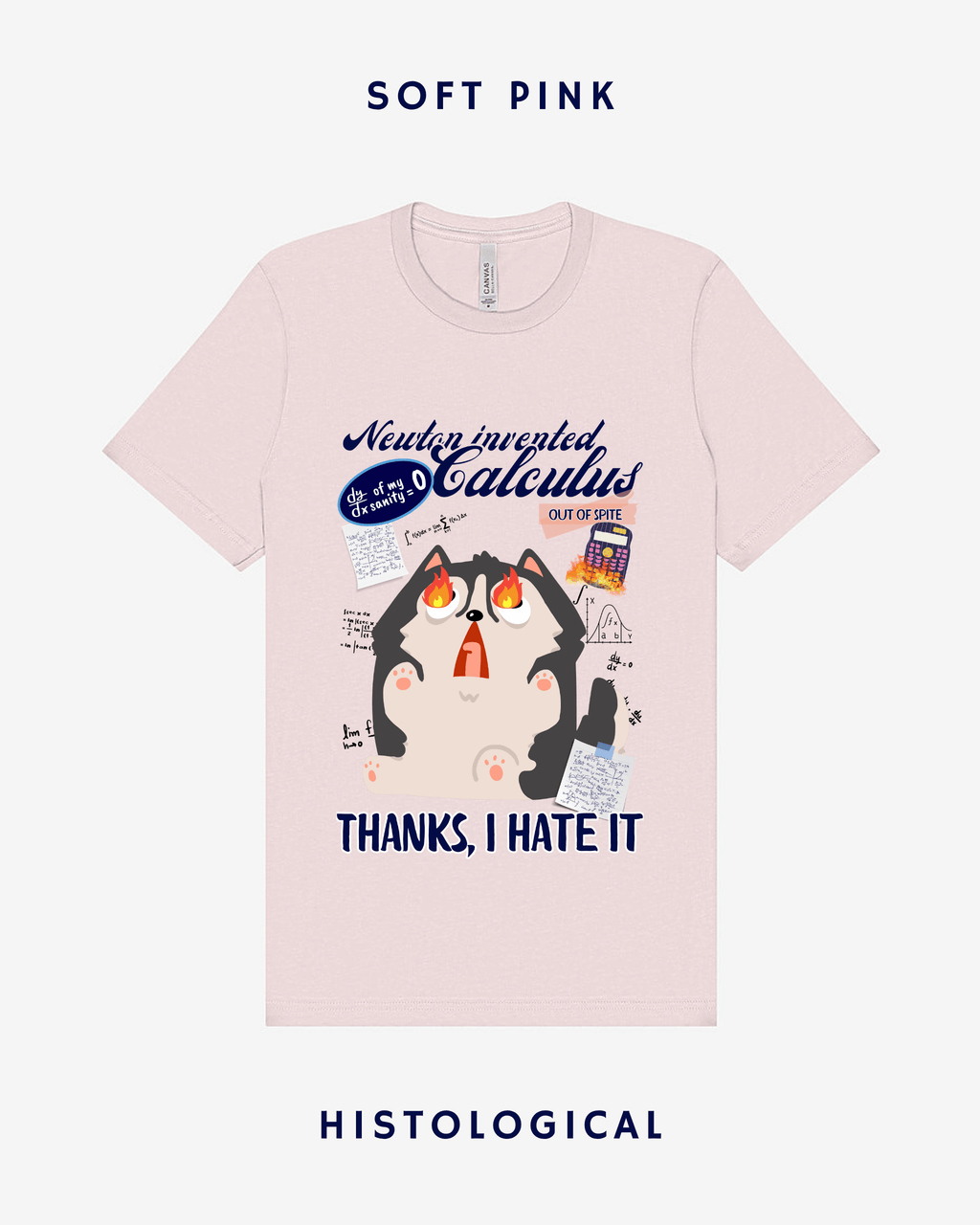 Newton Invented Calculus Out Of Spite Unisex T-shirt