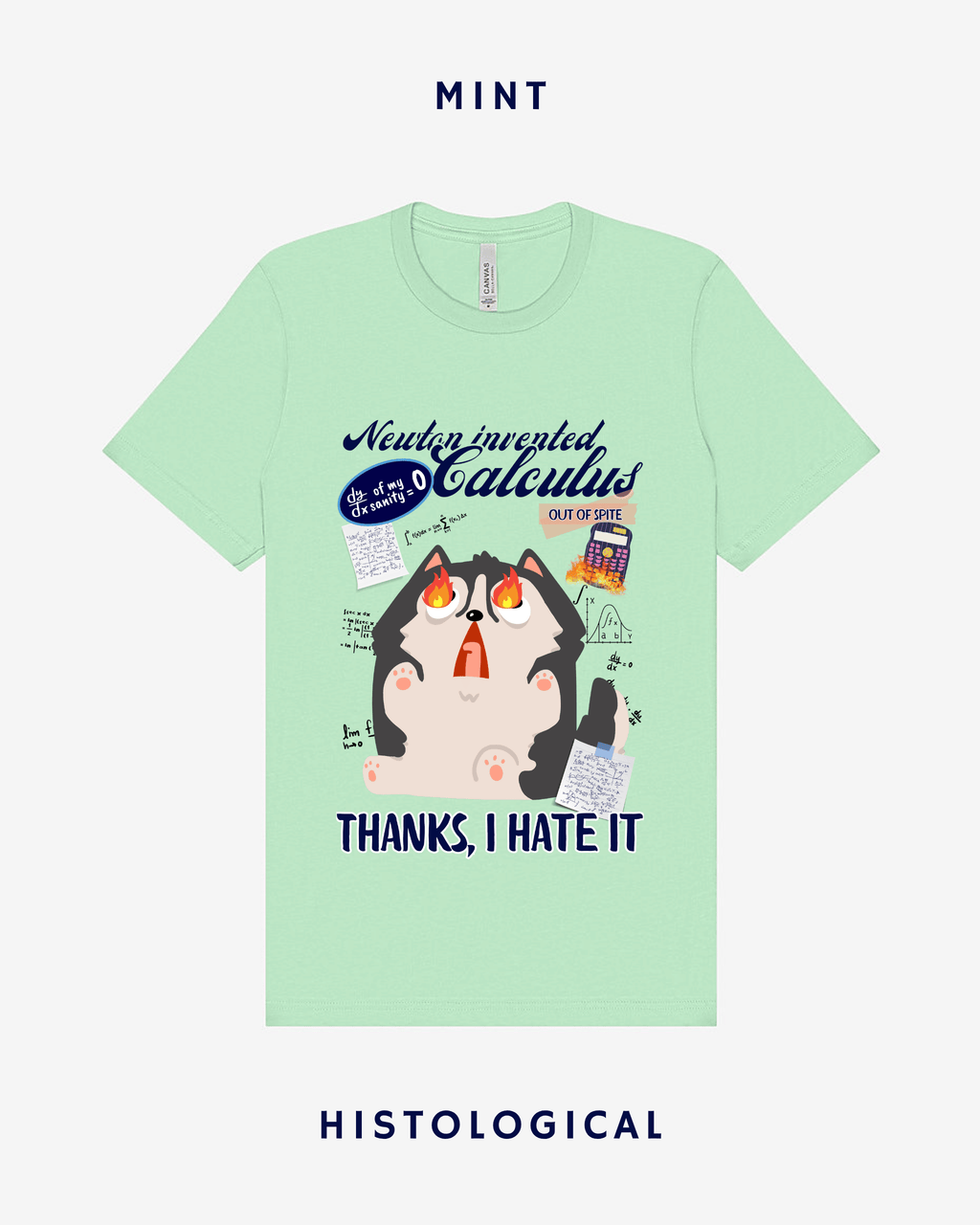 Newton Invented Calculus Out Of Spite Unisex T-shirt