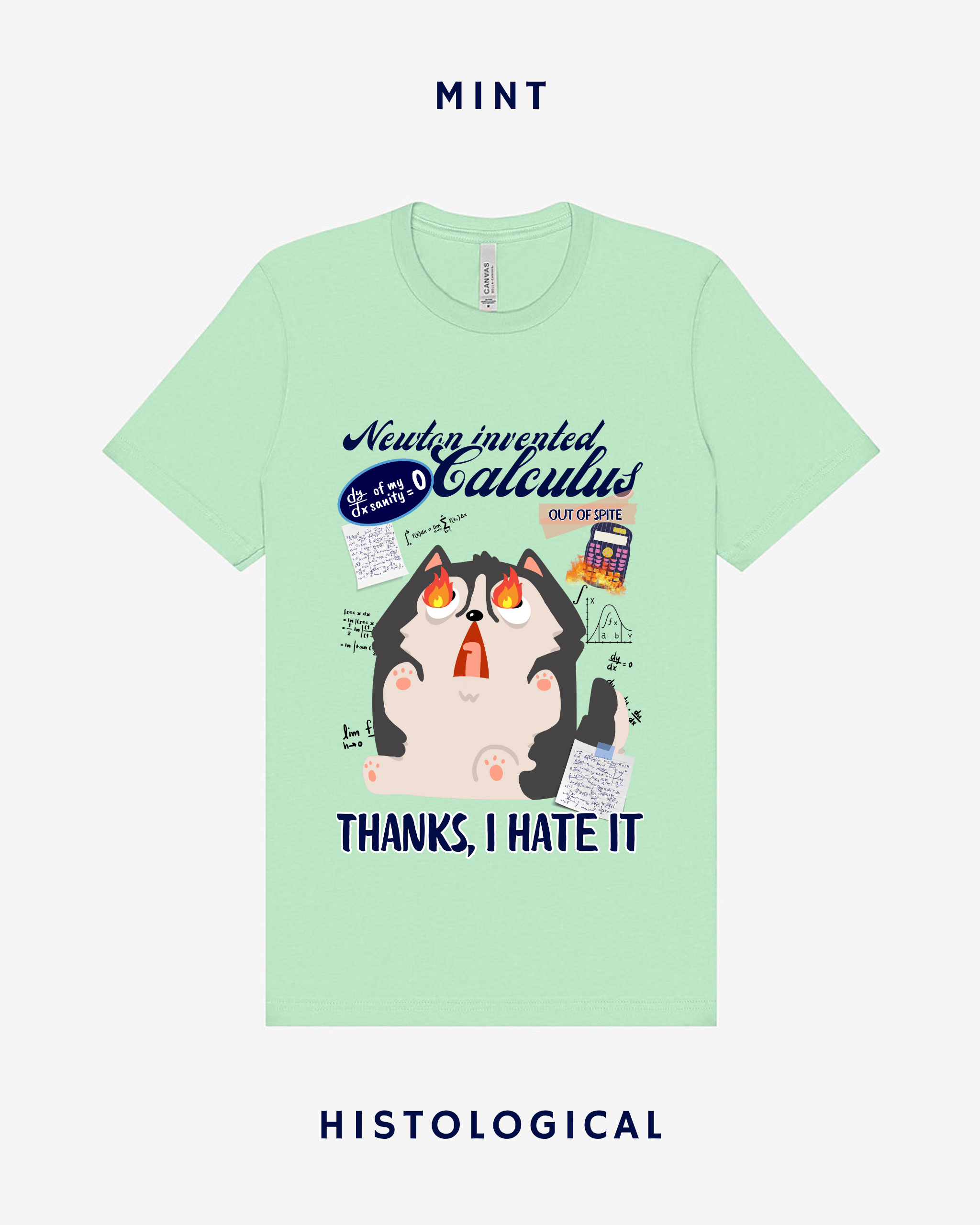 Newton Invented Calculus Out Of Spite Unisex T-shirt